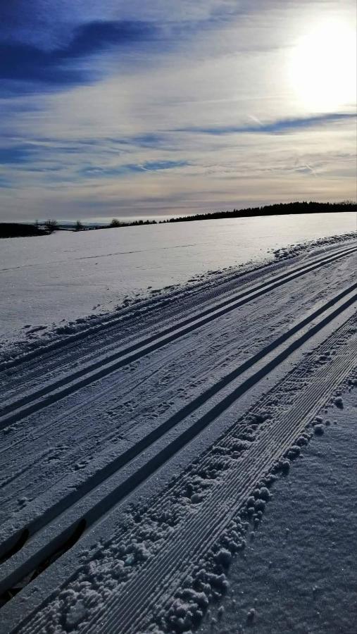 Ubytování Vlachovice u Nového Města na Moravě Nove Mesto na Morave Exterior foto